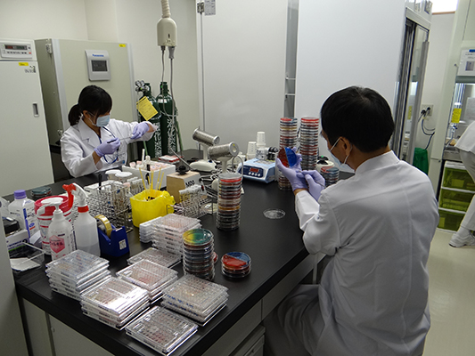 微生物検査室写真