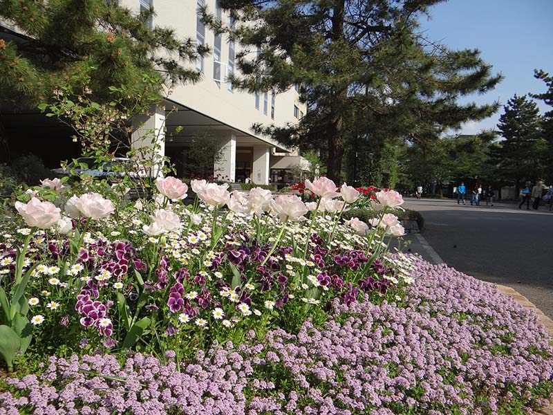 photo of flower bed
