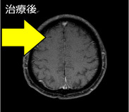 이미지 8