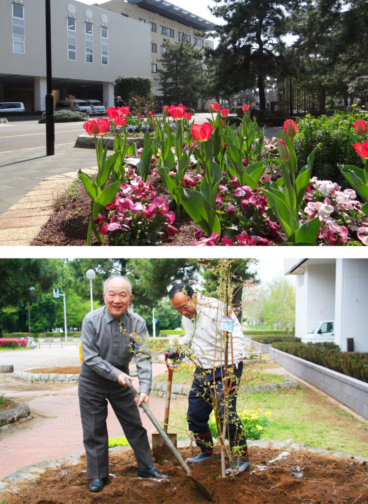 Imagens de jardins giratórios