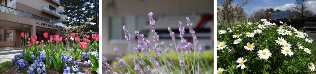 Seasonal photos of Spinning Garden