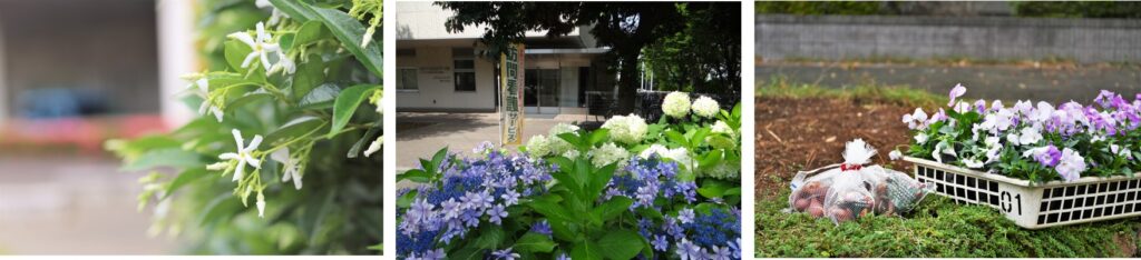 Seasonal photos of Spinning Garden