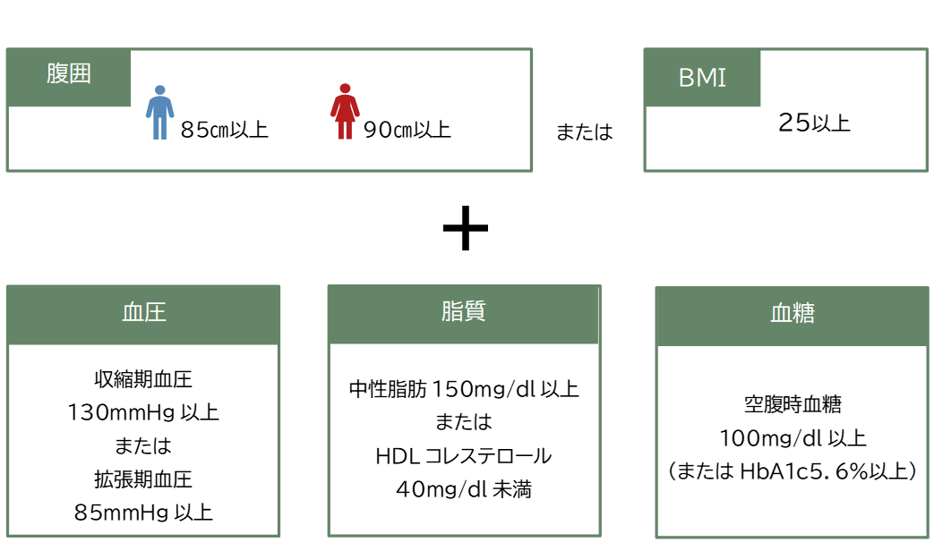 特定保健指導レベルに該当する基準を表す図
腹囲が男性が85ｾﾝﾁﾒｰﾄﾙ以上女性は90ｾﾝﾁﾒｰﾄﾙ以上またはBMIが25以上で、
血圧が収縮期130ｍｍHg以上または拡張期85ｍｍHg以上、中性脂肪が150mg/dl以上またはHDLコレステロール40mg/dl未満、空腹時血糖が100mg/dl以上またはHbA1c5.6％以上のうち該当する項目の数によってリスクを判定し、保健指導のコースが決定します。この項目には服薬や喫煙の有無も含まれます。
